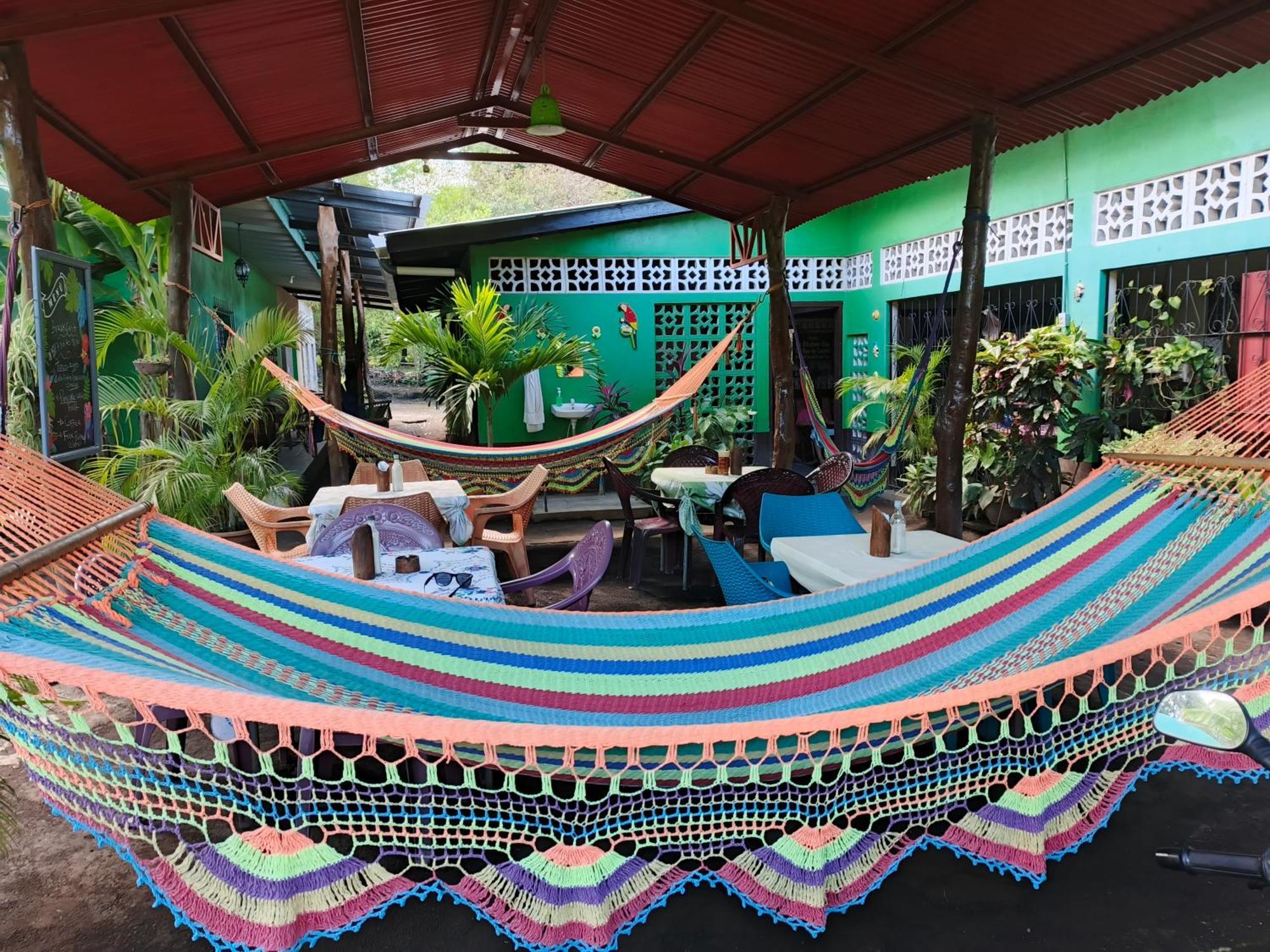 Cocos Hostel Мойогалпа Екстер'єр фото